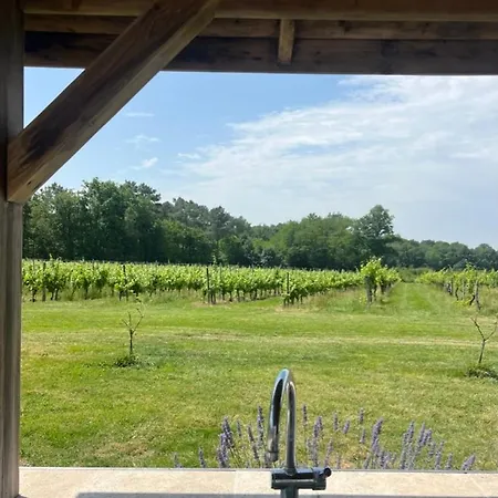 Charming In Bordeaux Vineyards *