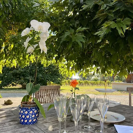 Charming In Bordeaux Vineyards Vakantiehuis Massugas