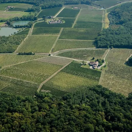 Charming In Bordeaux Vineyards Massugas